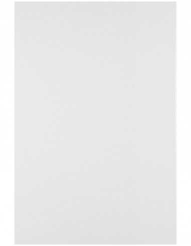 Papier ozdobny gładki Splendorgel 230g Extra White 71x100