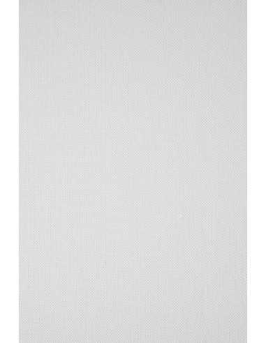 Papier ozdobny fakturowany Elfenbens 246g Ryps biały pak. 10A3