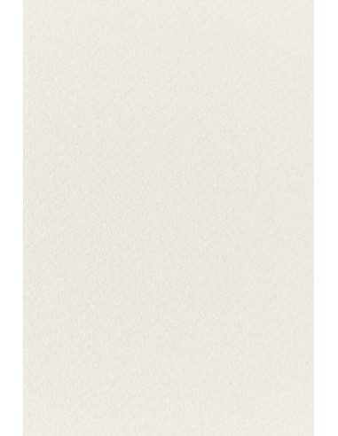 Papier ozdobny fakturowany kolorowy Tintoretto 250g Neve ecru 72x101R125