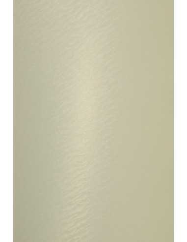 Papier ozdobny metalizowany Aster Metallic 250g Gold Ivory Sea Shell waniliowy ze wzorem morskich fal 71x100cm