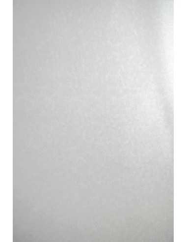 Papier ozdobny metalizowany Aster Metallic 250g White Sequins biały z delikatnym kolistym wzorem pak. 10A4