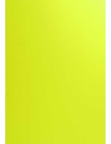 Papier ozdobny gładki kolorowy Curious Skin 270g Absynt zielony pak. 10A4