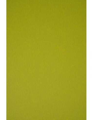 Papier ozdobny gładki kolorowy ekologiczny Keaykolour 300g Kiwi zielony pak. 10A4