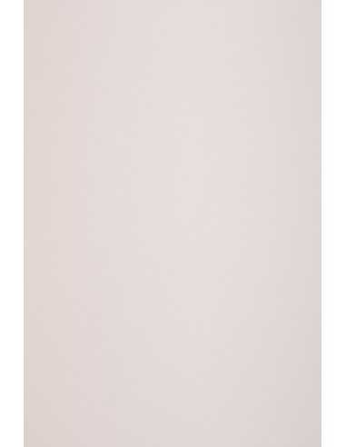 Papier ozdobny gładki kolorowy ekologiczny Keaykolour 300g Pastel Pink jasny różowy pak. 10A4
