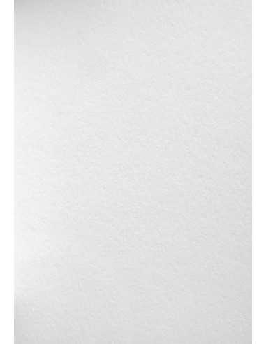 Papier ozdobny gruby Wild 450g White biały pak. 10A4