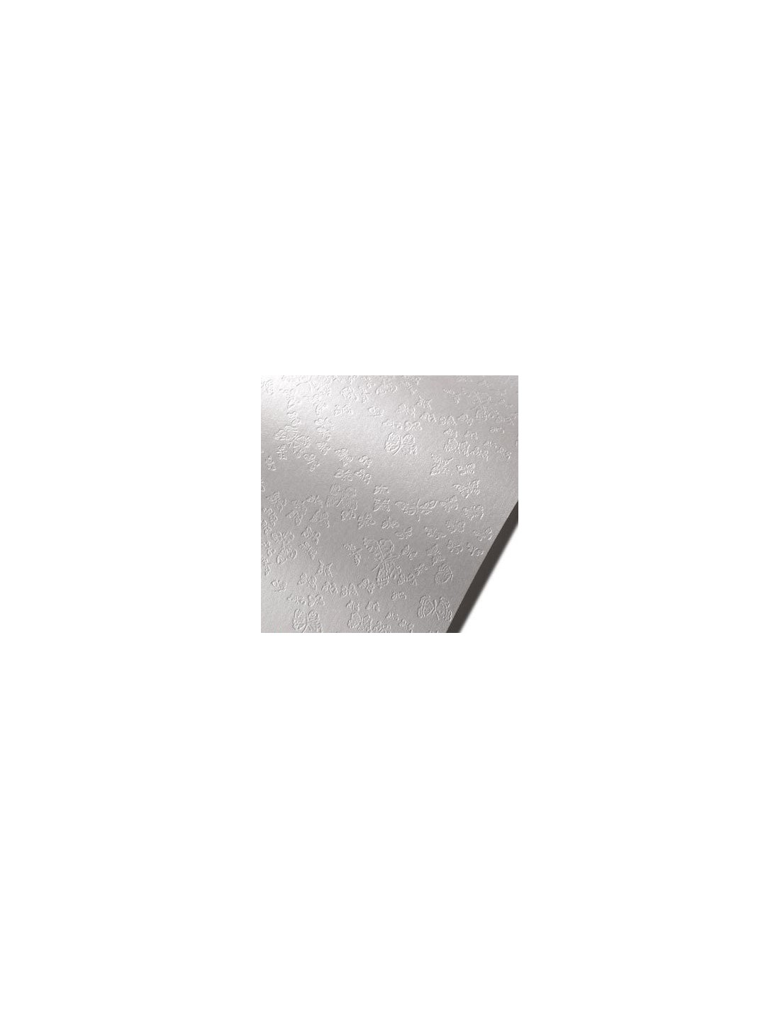 Papier Astrosilver 220g Forfalle pak. 10A4 Papier Astrosilver 220g Forfalle pak. 10A4