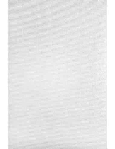 Papier ozdobny firmowy żeberkowany Aster Laid 120g White biały pak. 50A4
