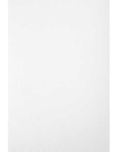 Papier ozdobny gładki kolorowy marmurek Aster Laguna 180g White biały pak. 20A4