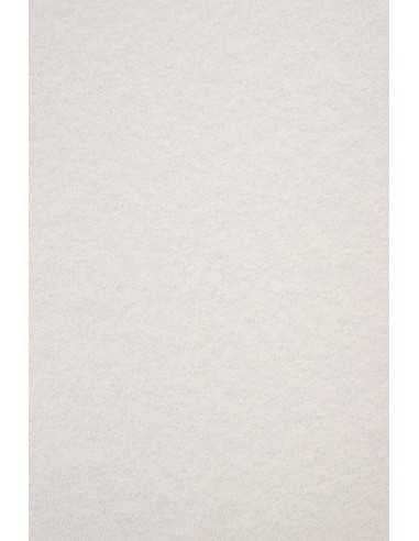 Papier ozdobny gładki kolorowy marmurek Aster Laguna 180g Grey jasny szary pak. 20A4