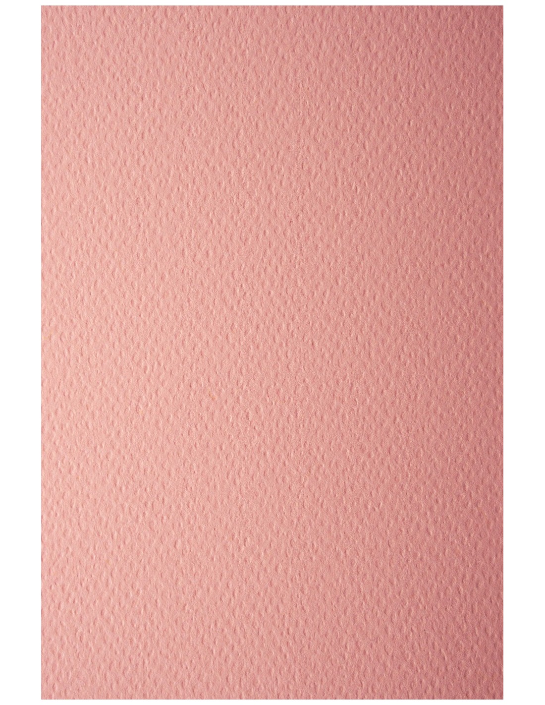 Papier Prisma 220g Salmone pak. 10A4 Papier Prisma 220g Salmone pak. 10A4