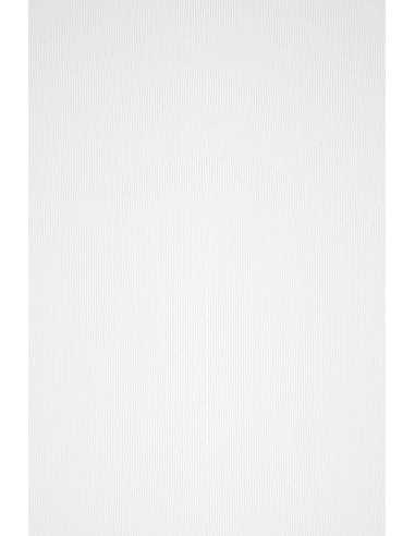 Papier ozdobny fakturowany prążkowany kolorowy Acquerello 100g Bianco biały pak. 50A4
