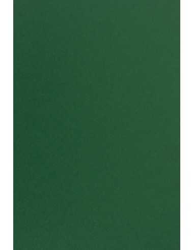 Papier ozdobny gładki kolorowy Sirio Color 115g Foglia ciemny zielony pak. 50A4