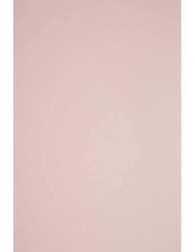 Papier ozdobny gładki kolorowy Sirio Color 115g Nude blady różowy pak. 50A4