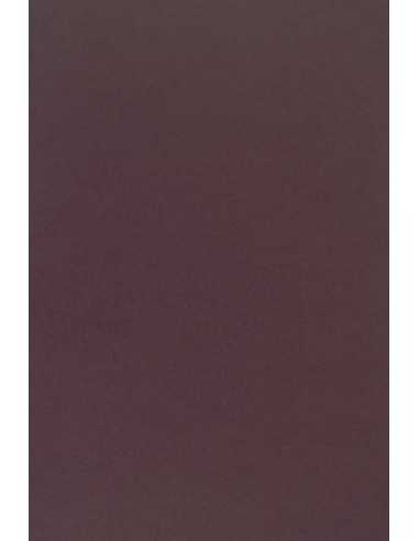 Papier ozdobny gładki kolorowy Sirio Color 170g Vino ciemny fioletowy pak. 20A4