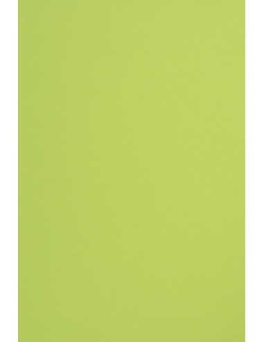 Papier ozdobny gładki kolorowy Sirio Color 170g Lime zielony pak. 20A4
