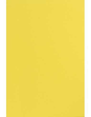 Papier ozdobny gładki kolorowy Sirio Color 170g Limone żółty pak. 20A4