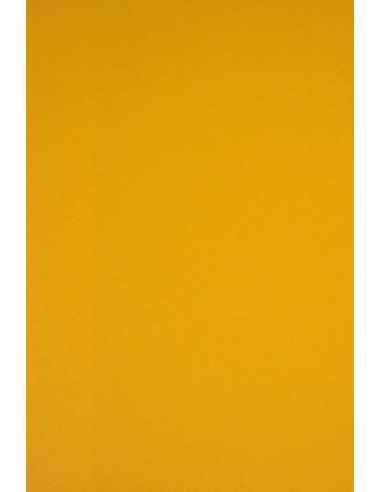 Papier ozdobny gładki kolorowy Sirio Color 170g Gialloro ciemny żółty pak. 20A4
