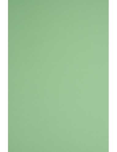 Papier ozdobny gładki kolorowy ekologiczny Woodstock 170g Verde zielony pak. 20A4