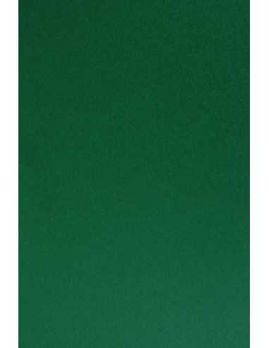 Sirio Color Paper 210g Foglia Pack of25 A4