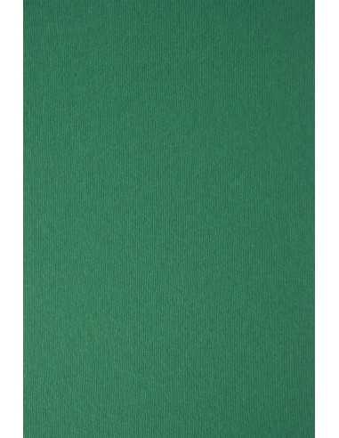 Papier ozdobny fakturowany prążkowany kolorowy Nettuno 215g Verde Foresta ciemny zielony pak. 10A4