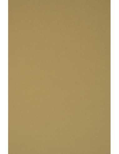 Papier ozdobny gładki kolorowy ekologiczny Materica 360g Kraft jasny brązowy pak. 10A4