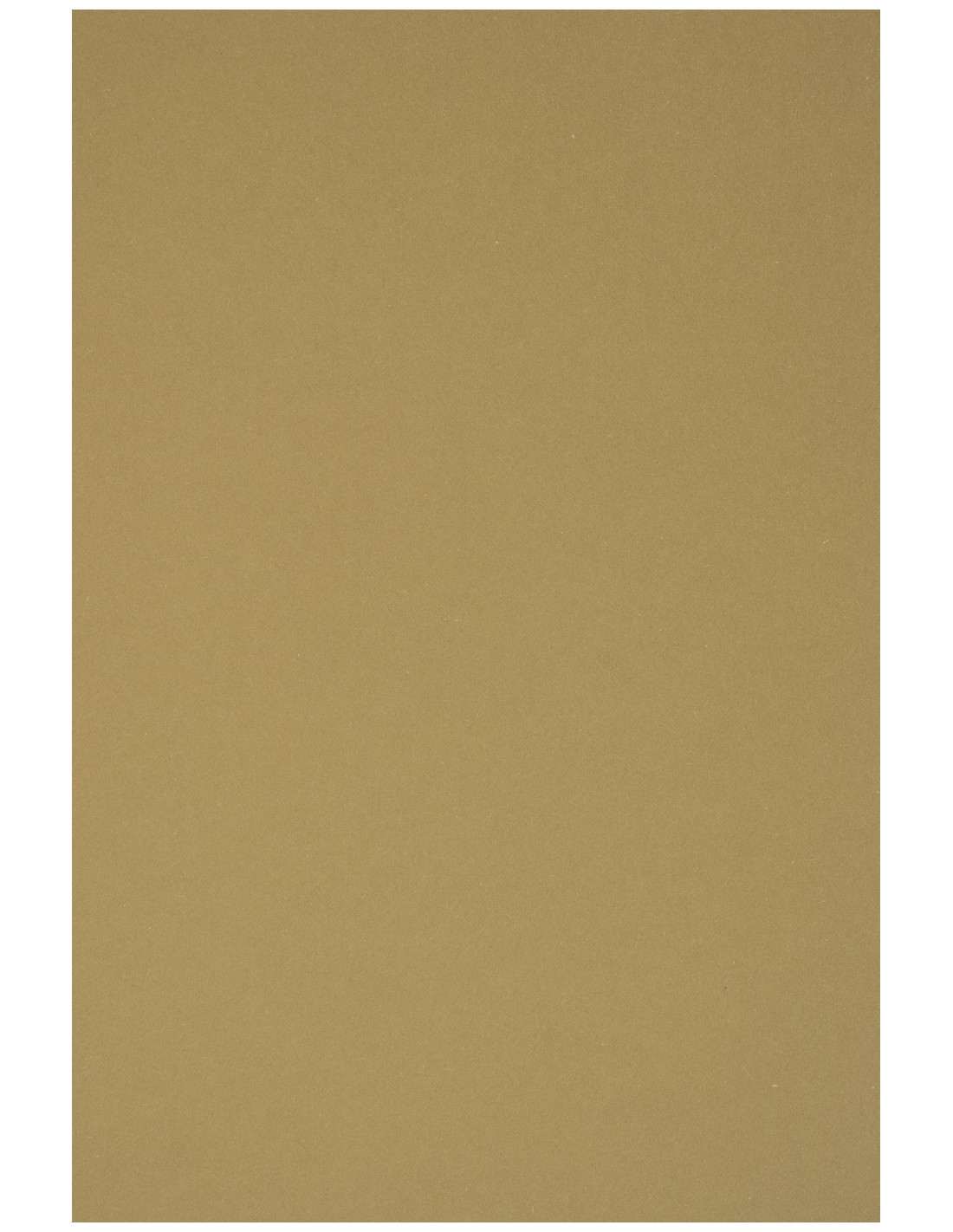 Papier ozdobny gładki kolorowy ekologiczny Materica 360g Kraft jasny brązowy pak. 10A4 Papier ozdobny gładki kolorowy ekologiczny Materica 360g Kraft jasny brązowy pak. 10A4