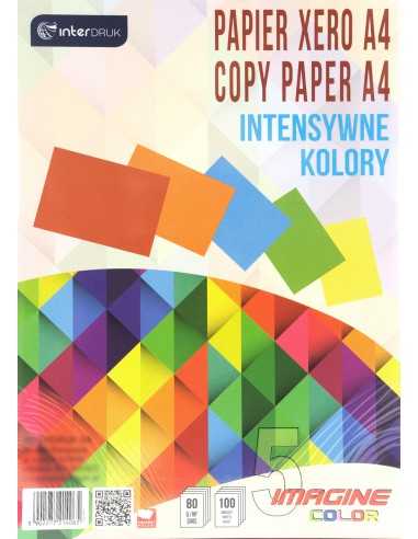 Zestaw kolorowych papierów - intensywnych 80g 5x20A4 pak. 100A4