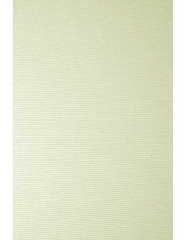 Ivory Board Paper 246g Ribbed Ecru Pack of 20 A4