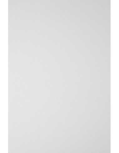 Papier ozdobny gładki Elfenbens 246g Glazed biały pak. 100A4