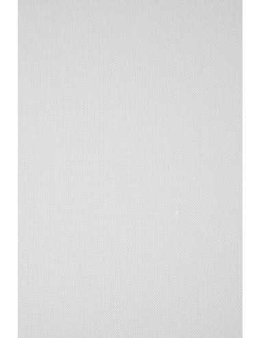 Papier ozdobny fakturowany Elfenbens 246g Ryps biały pak. 100A4