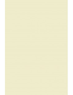 Papier cartonné motif dentelle, 10,5x15 cm, 200 gr, blanc, 10 pièce/ 1 Pq.  [HOB-216901] - Packlinq