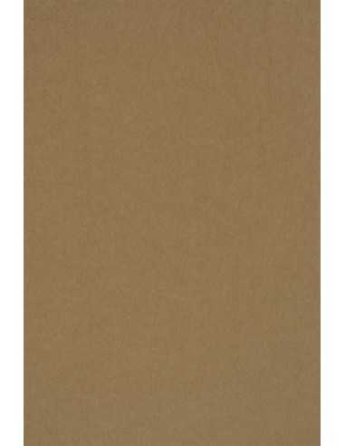Papier ozdobny gładki ekologiczny Kraft EKO PLUS 340g brązowy pak. 100A4