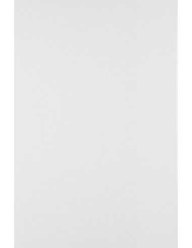 Papier ozdobny gładki Olin 120g Regular Ultimate White biały pak. 50A5