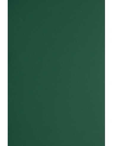 Papier ozdobny gładki kolorowy Plike 330g Green ciemny zielony pak. 10A5