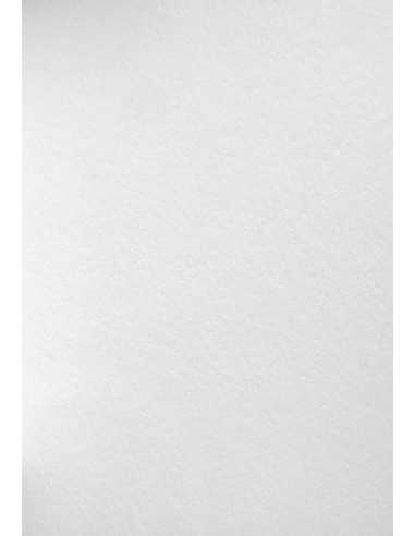 Papier ozdobny gruby Wild 450g White biały pak. 10A5