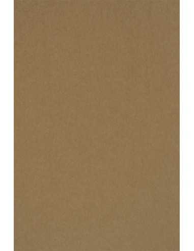 Papier ozdobny gładki ekologiczny Kraft EKO PLUS 340g brązowy pak. 200A5