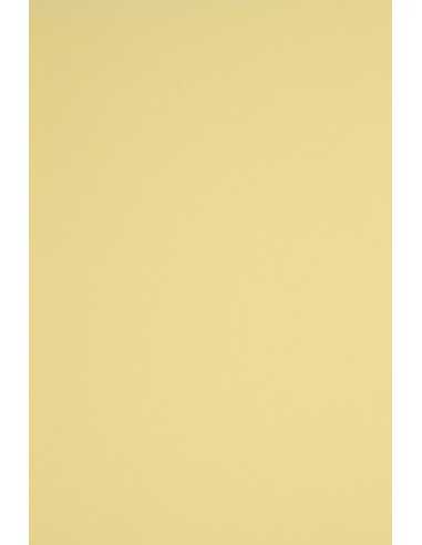 Papier ozdobny gładki kolorowy Rainbow 230g R12 jasny żółty 70x100 R125