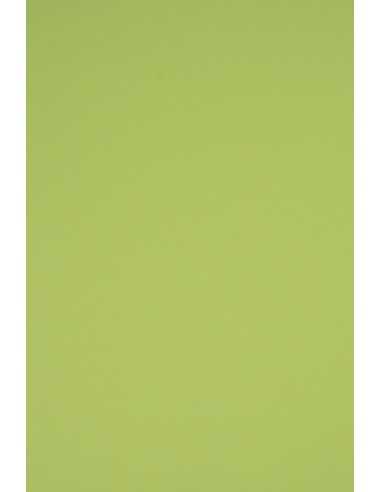 Papier Rainbow 230g R74 jasny zielony 70x100