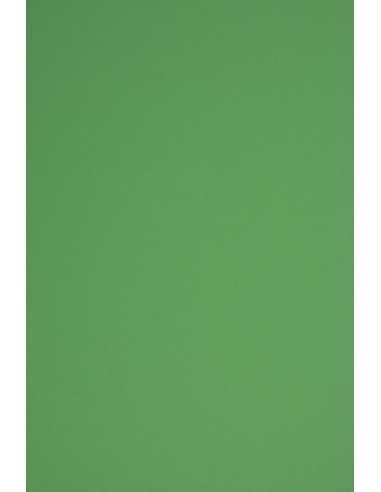 Papier ozdobny gładki kolorowy Rainbow 230g R78 ciemny zielony 70x100 R125