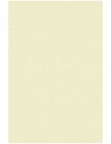 Papier ozdobny gładki Olin 120g Regular Soft Cream ecru 72x102 R250