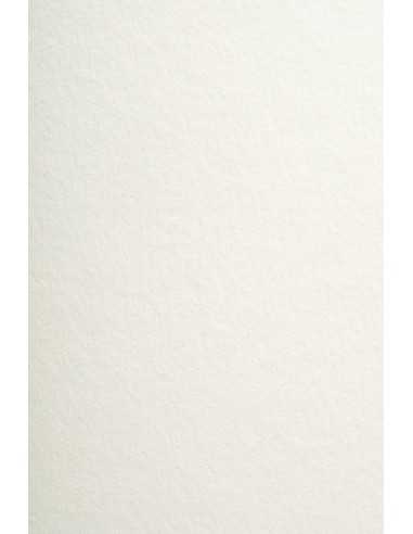 Arena Decorative Smooth Paper 300g Rough Ivory 72x102 R100