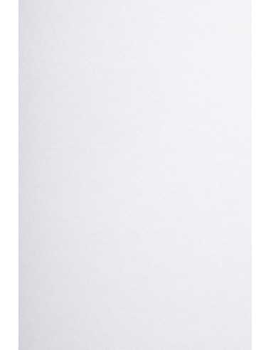 Papier ozdobny gładki Arena 350g Smooth Extra White biały 72x102 R100