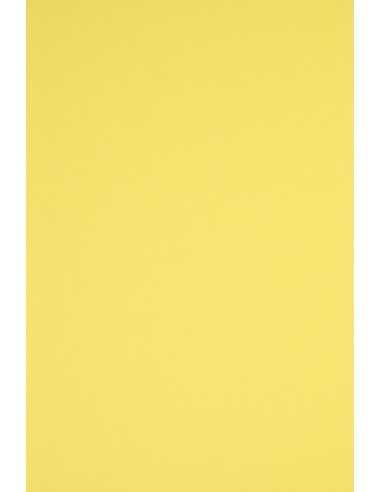 Papier Rainbow 160g R16 żółty 92x65