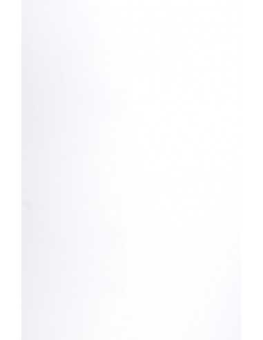 Papier ozdobny fakturowany kolorowy Curious Matter 135g Goya White biały 70x100 R200