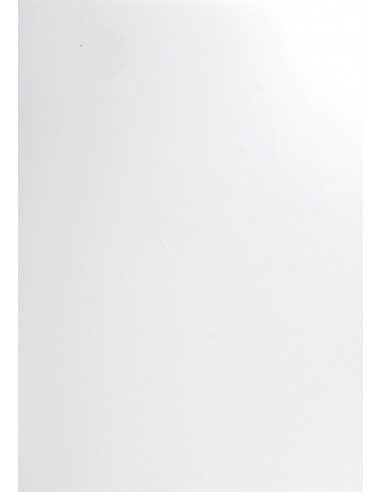 Papier ozdobny gładki kolorowy Curious Skin 135g Extra White 70x100 R100