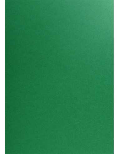 Papier ozdobny gładki kolorowy Popset Virgin Pulp 240g Cactus Green zielony 70x100 R125