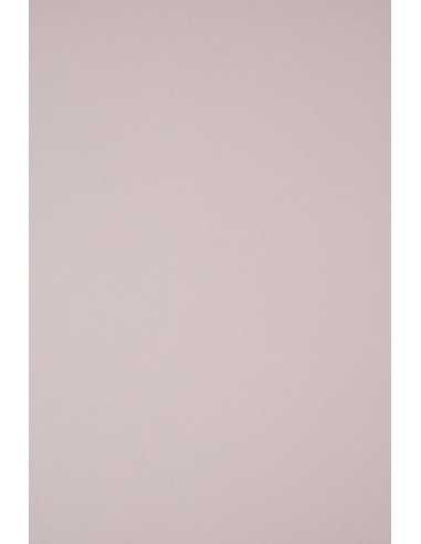 Papier ozdobny gładki kolorowy ekologiczny Keaykolour 300g Pastel Pink jasny różowy 70x100 R100