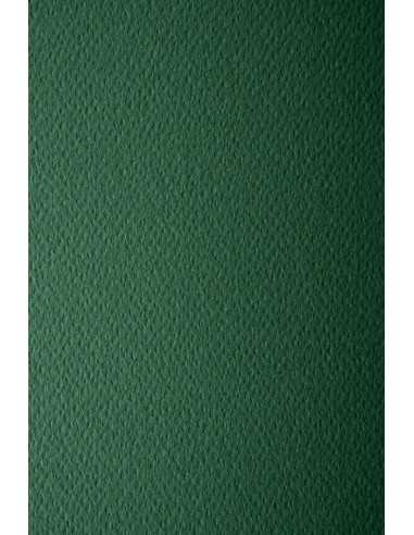 Papier ozdobny fakturowany kolorowy Prisma 220g Pino ciemny zielony 70x100