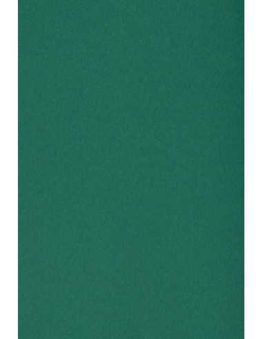 Papier ozdobny gładki kolorowy Burano 250g B71 English Green ciemny zielony 70x100 R125