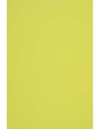 Papier ozdobny gładki kolorowy ekologiczny Woodstock 140g Pistacchio jasny zielony 70x100 R250